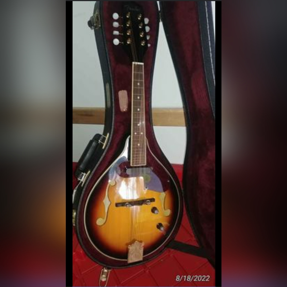 Fender Mandolin